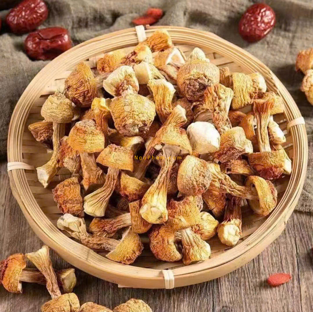 Nấm Tùng Nhung khô